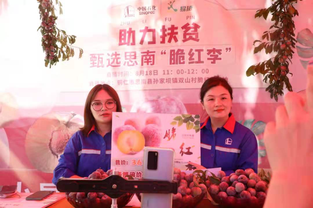 脆红与“李”助力脱贫
